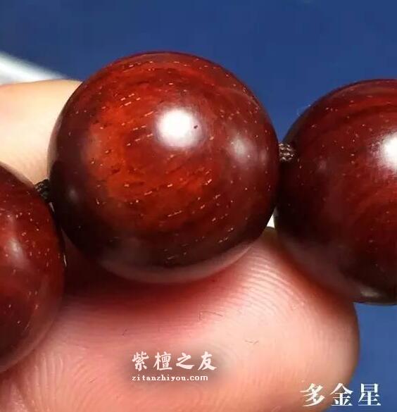 想要深入了解金星小叶紫檀？这篇文章你必须看-16