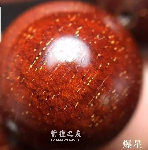 想要深入了解金星小叶紫檀？这篇文章你必须看-23