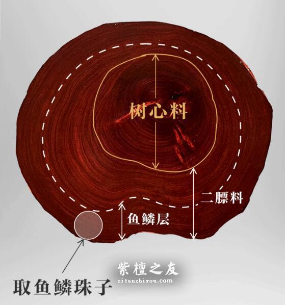 深入了解小叶紫檀鱼鳞纹，看完这篇保证你不会懵逼！-3