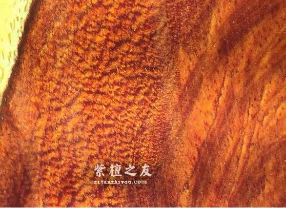 深入了解小叶紫檀鱼鳞纹，看完这篇保证你不会懵逼！-7
