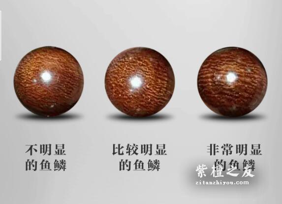深入了解小叶紫檀鱼鳞纹，看完这篇保证你不会懵逼！-11