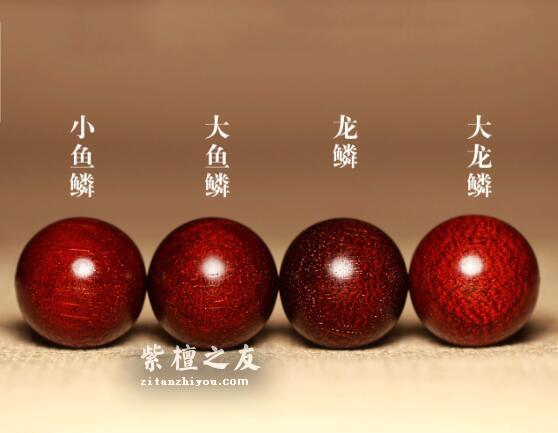 深入了解小叶紫檀鱼鳞纹，看完这篇保证你不会懵逼！-12