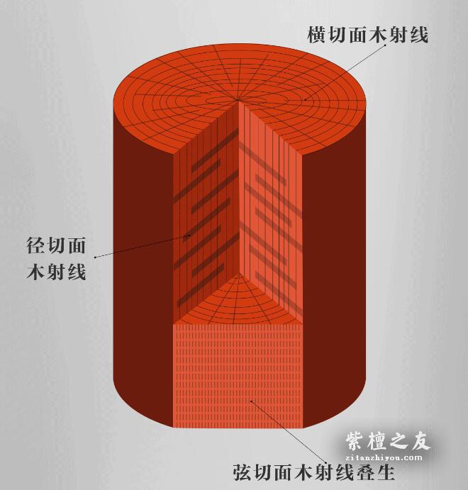 深入了解小叶紫檀鱼鳞纹，看完这篇保证你不会懵逼！-19