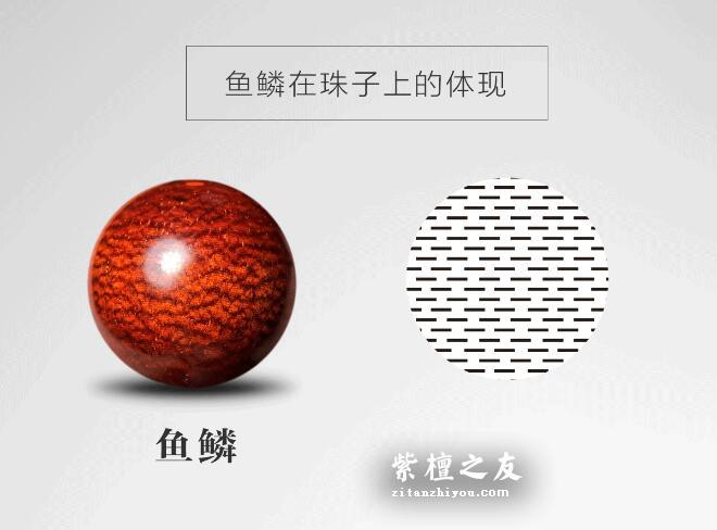 深入了解小叶紫檀鱼鳞纹，看完这篇保证你不会懵逼！-21