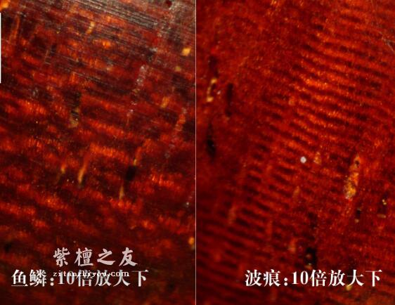 深入了解小叶紫檀鱼鳞纹，看完这篇保证你不会懵逼！-22