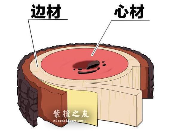小叶紫檀什么部位的料最好？看完此篇，你就明白了！-3