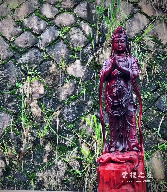 资深玩家告诉你，小叶紫檀应该这么盘！-3