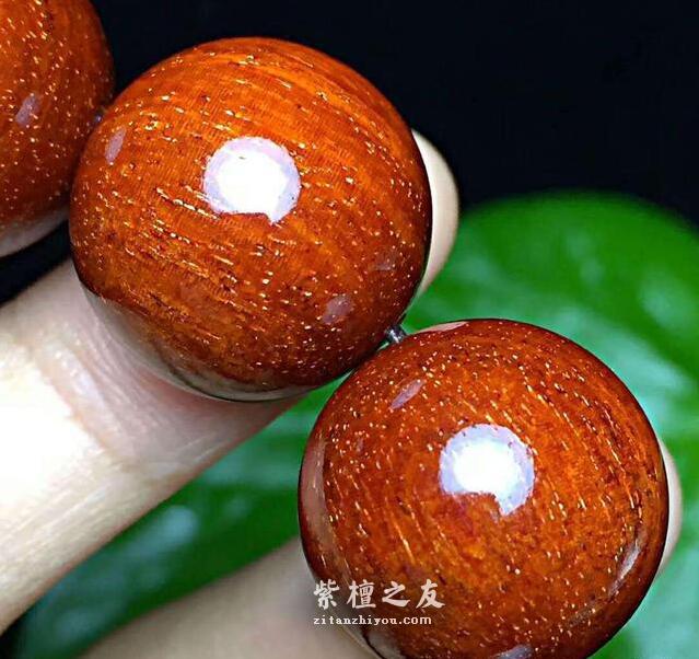 作为新手珠友，你对小叶紫檀了解多少？-2