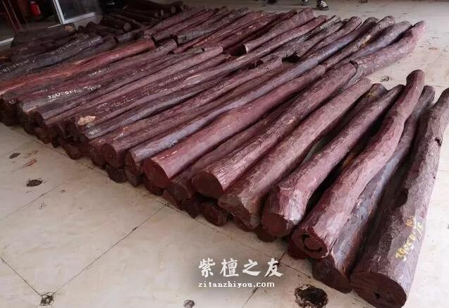 2018年十月份紫檀料行情-7