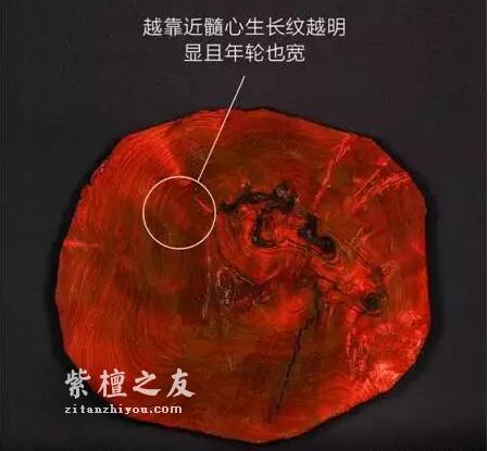 小叶紫檀凭什么属于名贵木材？到底好在哪里？-2