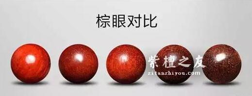 小叶紫檀凭什么属于名贵木材？到底好在哪里？-4