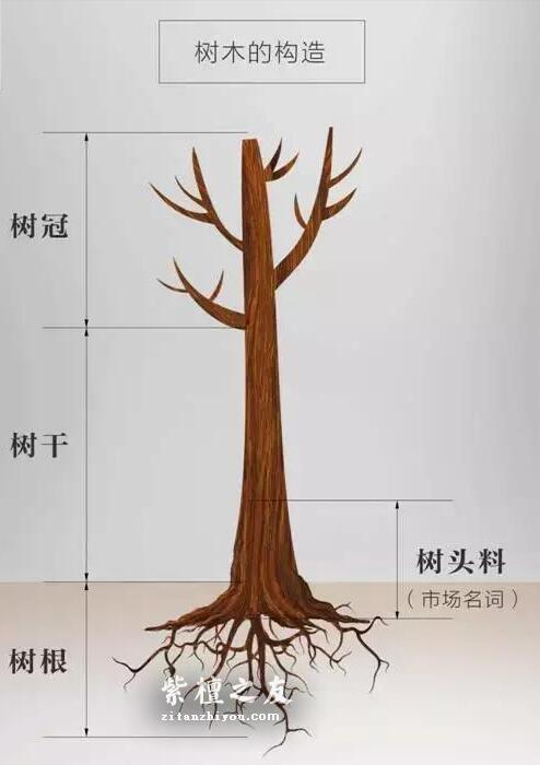 小叶紫檀凭什么属于名贵木材？到底好在哪里？-8