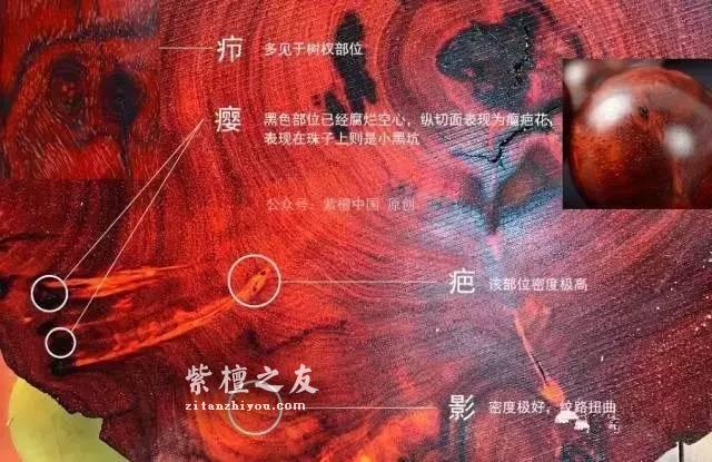 小叶紫檀瘿子、瘤疤详细图解-3