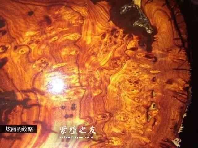 小叶紫檀瘿子、瘤疤详细图解-10