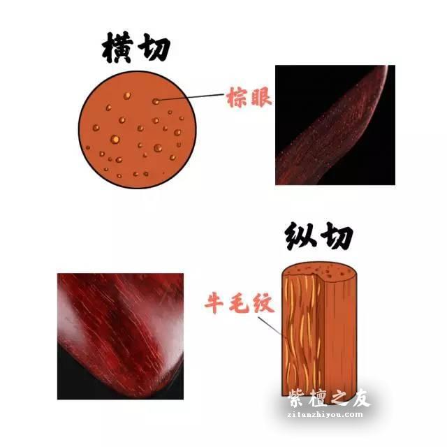 小叶紫檀上面的“金星”有蹊跷，挑选前先掌握辨别金星紫檀的技能-1