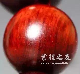 告诉你一些小叶紫檀在网上查不到的事……-4