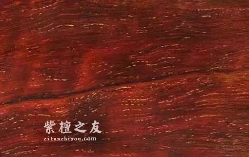 告诉你一些小叶紫檀在网上查不到的事……-3