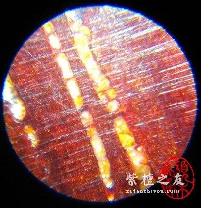 告诉你一些小叶紫檀在网上查不到的事……-12