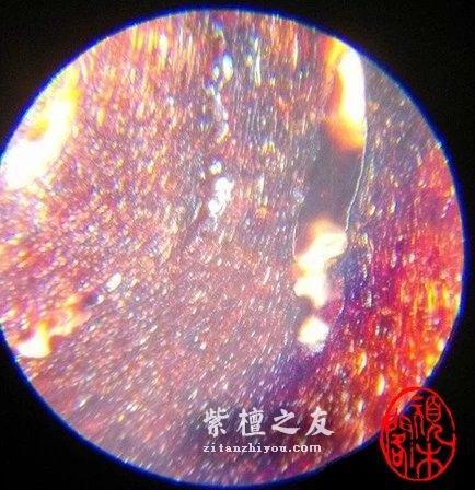 告诉你一些小叶紫檀在网上查不到的事……-16