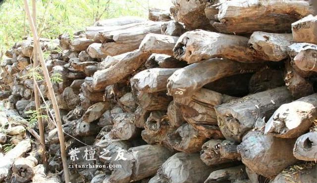 你真的知道紫檀老料实际指什么吗？-1