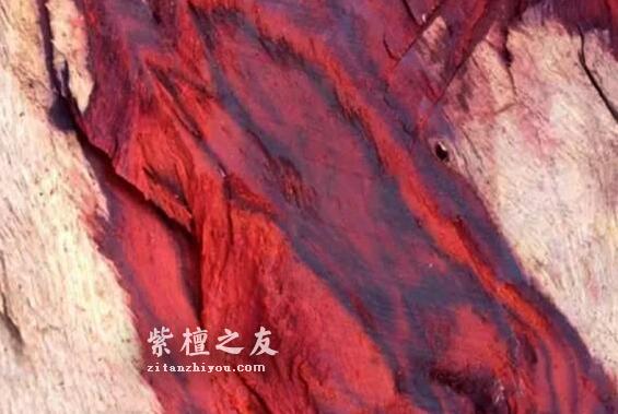 是非成败转头空，血檀和紫檀的纠缠还会继续吗？-3