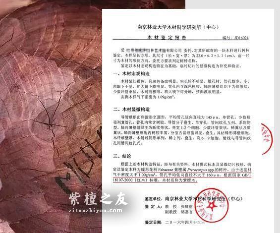 是非成败转头空，血檀和紫檀的纠缠还会继续吗？-4