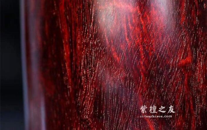 揭秘小叶紫檀濒危的真正原因-1