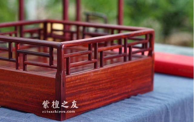 揭秘小叶紫檀濒危的真正原因-2