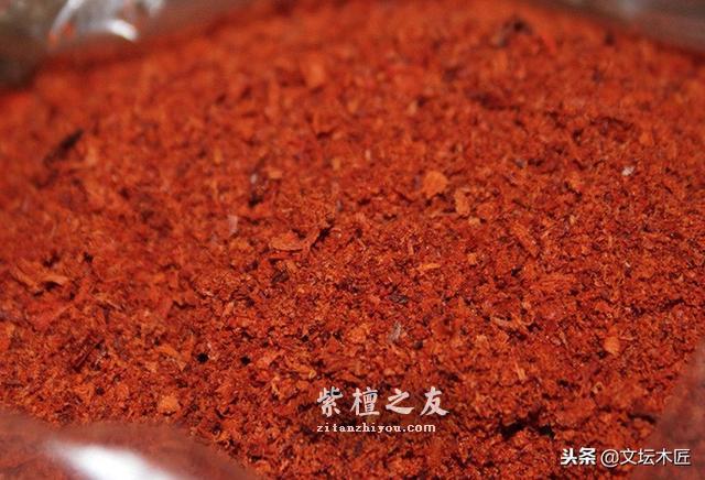 揭秘小叶紫檀濒危的真正原因-8