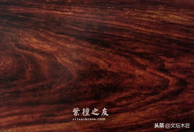 不看不知道：紫檀名称之乱象揭秘-4