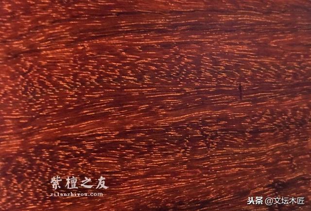 不看不知道：紫檀名称之乱象揭秘-3