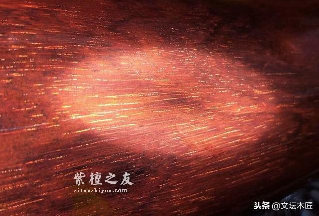 不看不知道：紫檀名称之乱象揭秘-9
