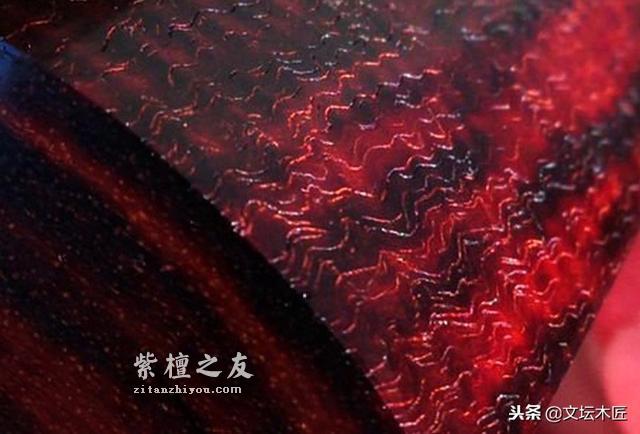 不看不知道：紫檀名称之乱象揭秘-13