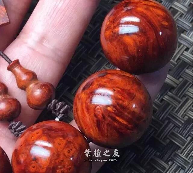 小叶紫檀：两种神器，黄豆还和丝袜！玻璃底速成！-5