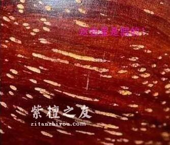 小叶紫檀常识大全-1
