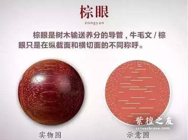 小叶紫檀常识大全-9