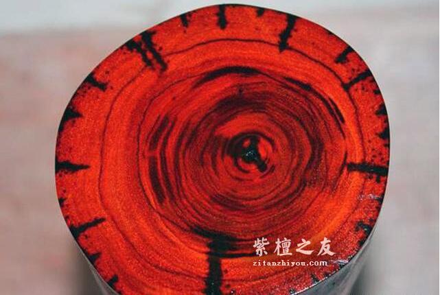 小叶紫檀“十檀九空”的真正原因，并不是很多人所说的那样-1