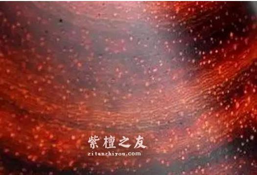 小叶紫檀的各种表现形式及鉴别-11