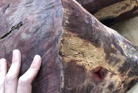 小叶紫檀最常见的3种作假，最痛恨第1种，你呢？