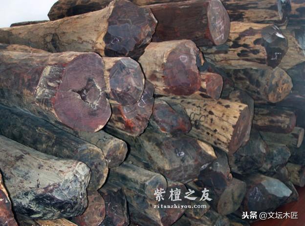 小叶紫檀树木和木材知识简编-9