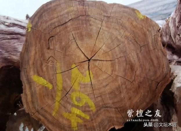 小叶紫檀树木和木材知识简编-12