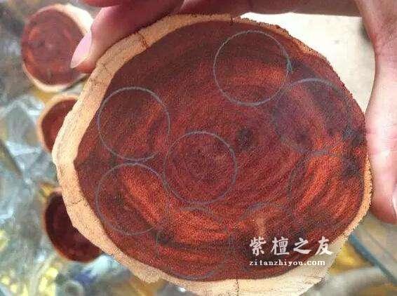 拆房老料？老师傅教你分辨谣言的真假！挑选好的小叶紫檀！-4