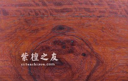 鉴别小叶紫檀鉴赏家与植物学家的说法互异，众说纷纭！-2