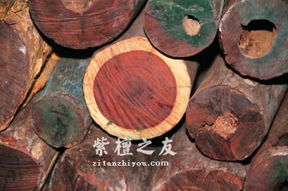 鉴别小叶紫檀鉴赏家与植物学家的说法互异，众说纷纭！-3