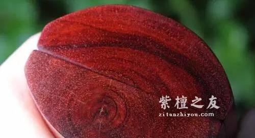 干货！新手八步鉴别小叶紫檀-7