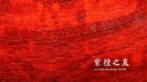 干货！新手八步鉴别小叶紫檀-9