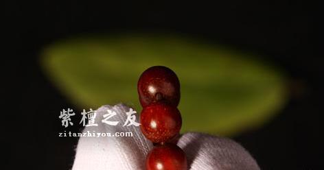 大家熟知小叶紫檀价格昂贵，保养护理是否也特别复杂？-4