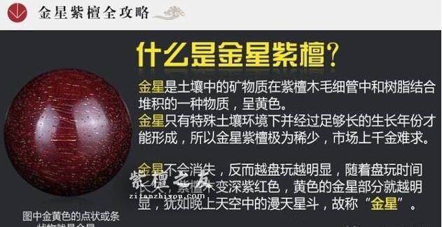 干货！小叶紫檀图解-1