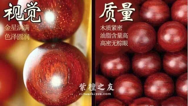干货！小叶紫檀图解-3