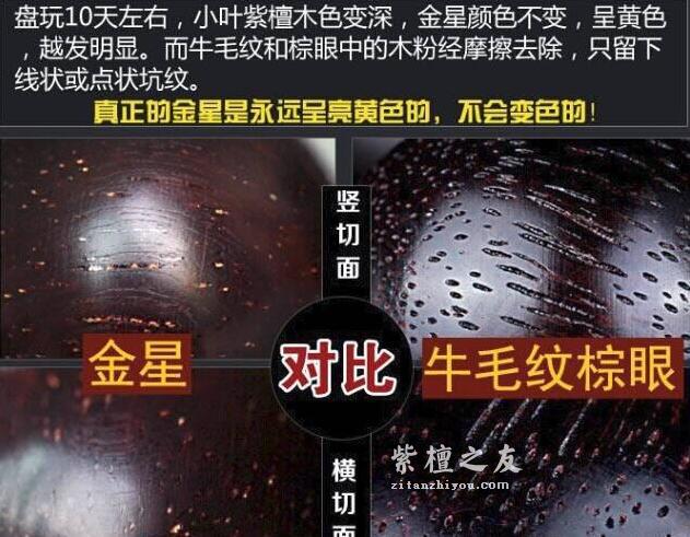 干货！小叶紫檀图解-9